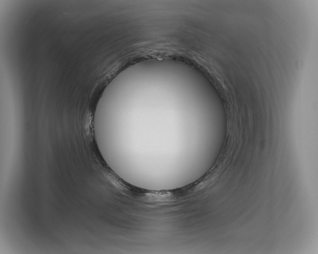X0000112750480200908201017