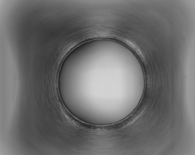 X0000112750481200908201016