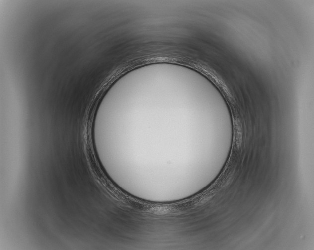 X0000112750482200908201016
