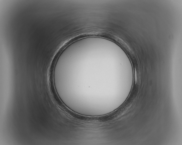 X0000112750483200908201016