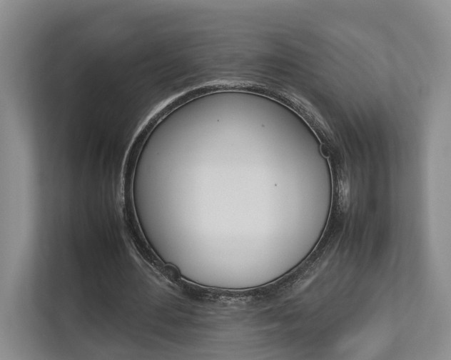 X0000112750484200908201016