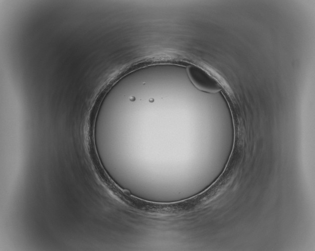 X0000112750485200908201016