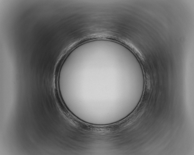 X0000112750486200908201016