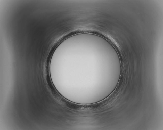 X0000112750487200908201016