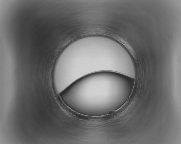 X0000112750489200908201016