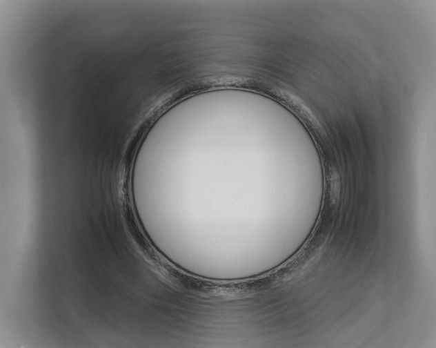 X0000112750490200908201016