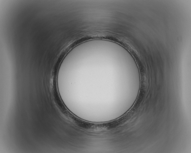 X0000112750491200908201016