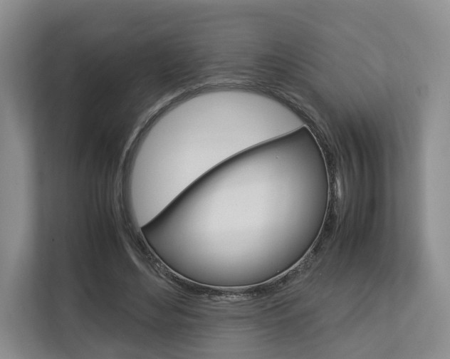 X0000112750492200908201016