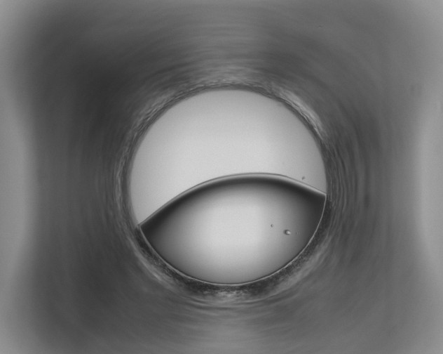 X0000112750493200908201016