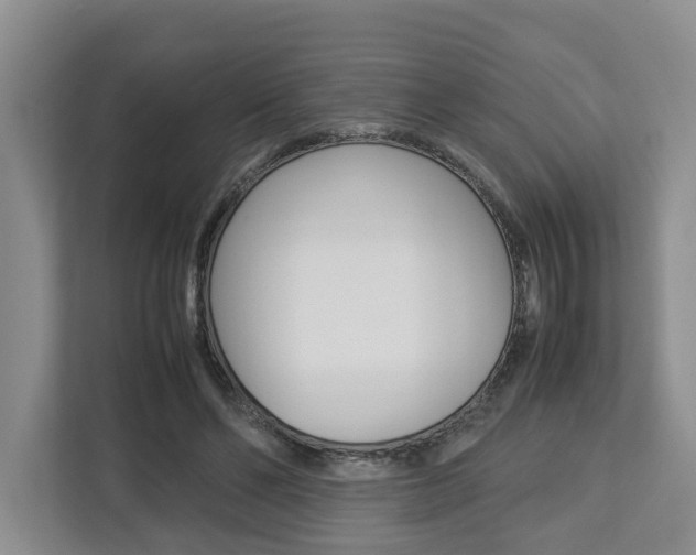 X0000112750494200908201016