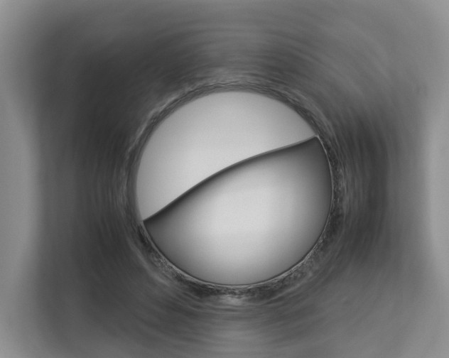X0000112750496200908201016