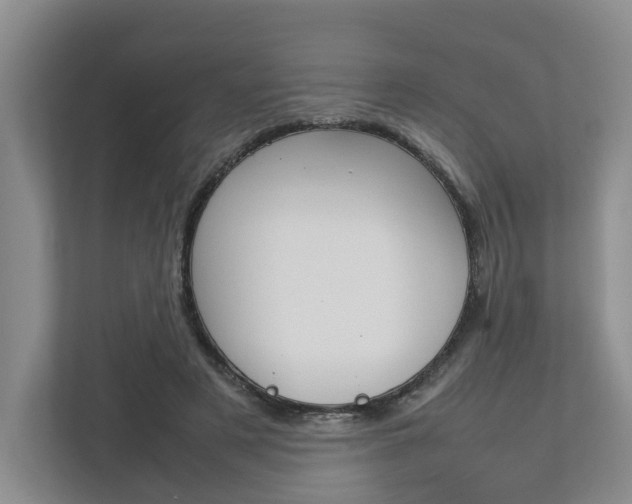 X0000112750497200908201016