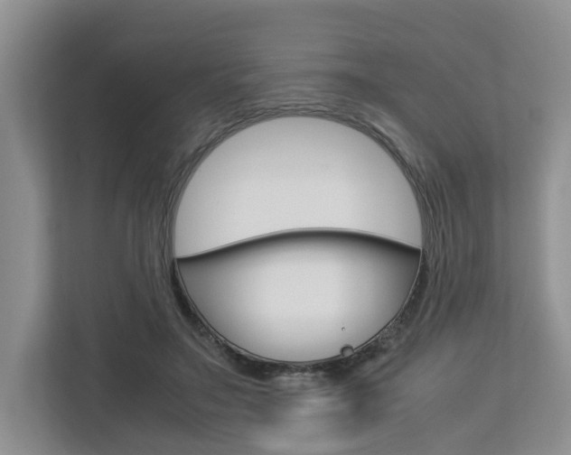 X0000112750499200908201016