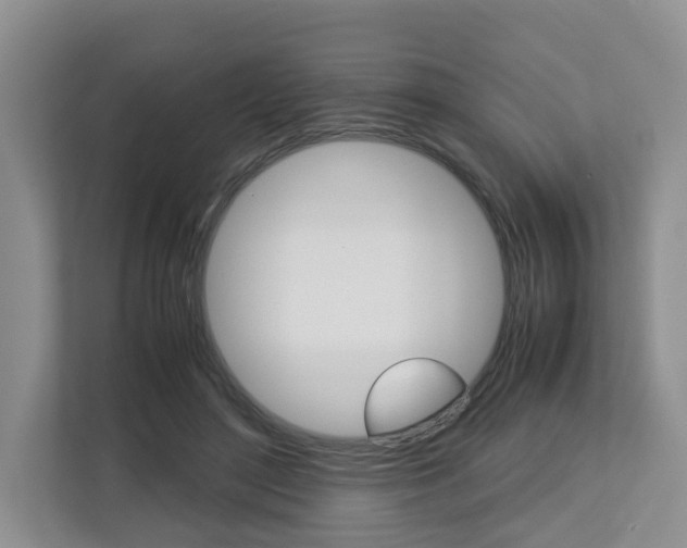 X0000112750500200908201016