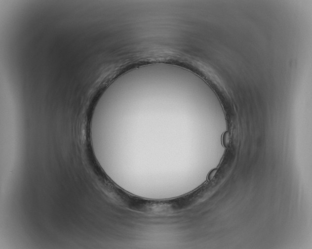 X0000112750501200908201016