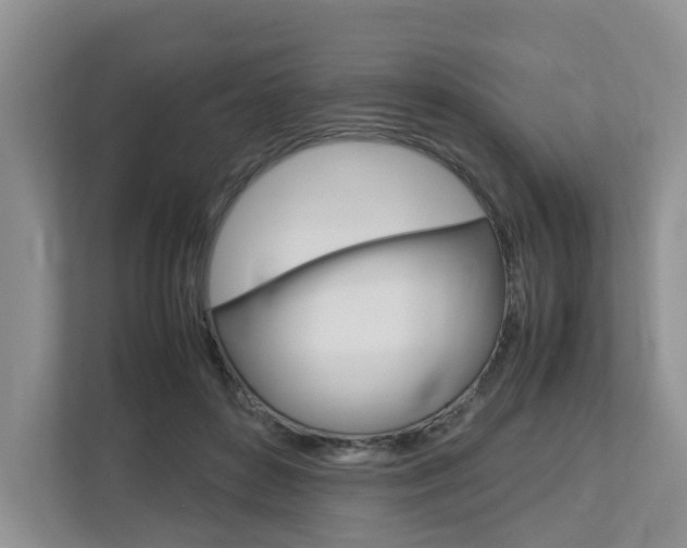 X0000112750504200908201016