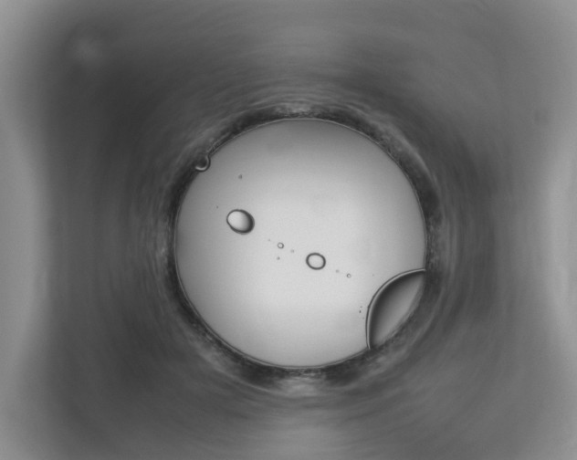 X0000112750505200908201016