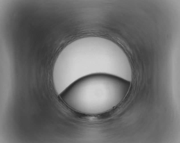 X0000112750509200908201016