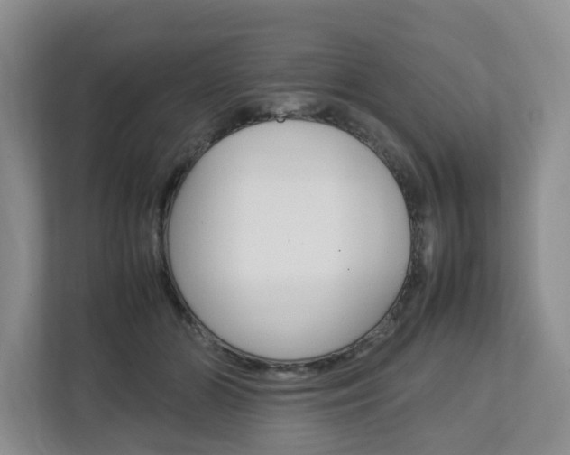 X0000112750510200908201016