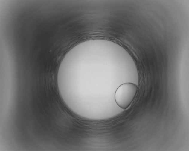 X0000112750512200908201016
