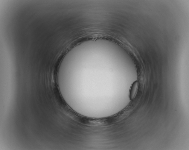 X0000112750516200908201016