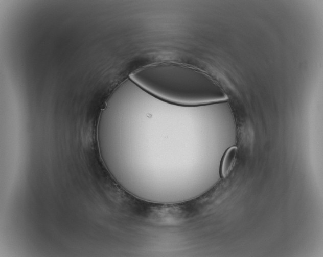 X0000112750517200908201016