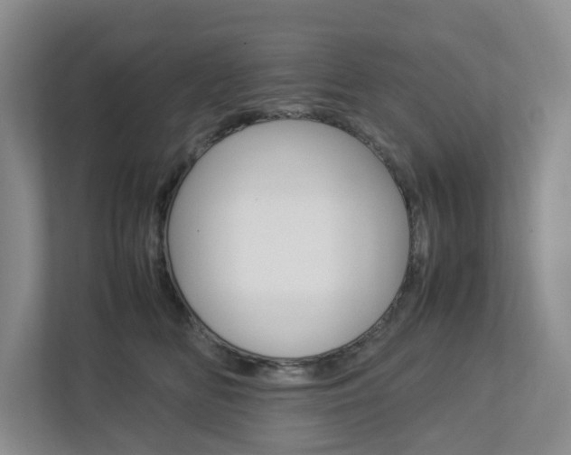 X0000112750518200908201016