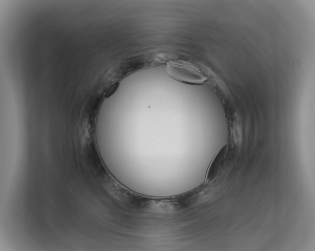 X0000112750520200908201016