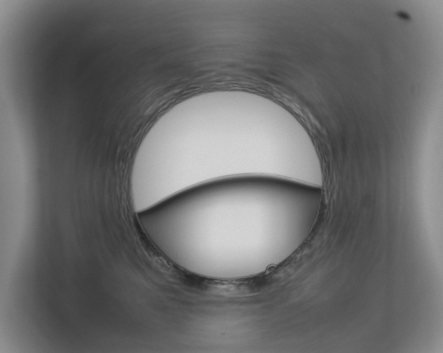 X0000112750521200908201016