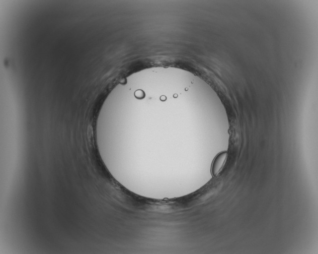 X0000112750523200908201016