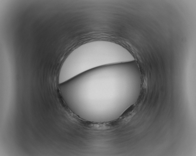 X0000112750524200908201016