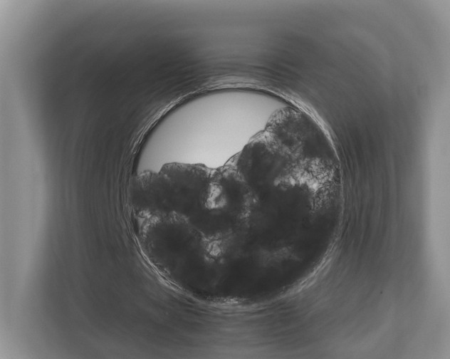 X0000112750529200908201015