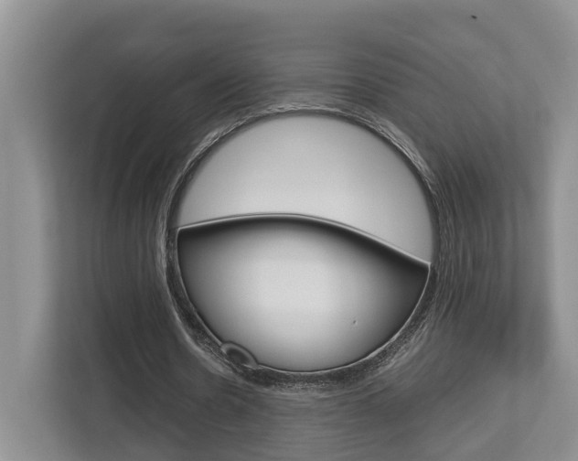 X0000112750530200908201015