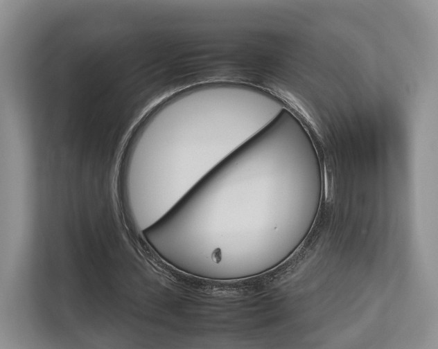 X0000112750531200908201015