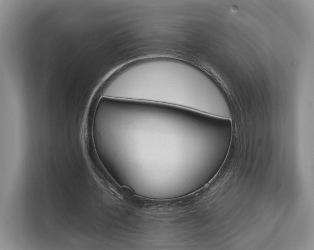 X0000112750532200908201015