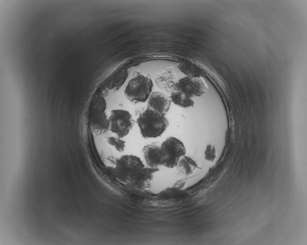 X0000112750533200908201015