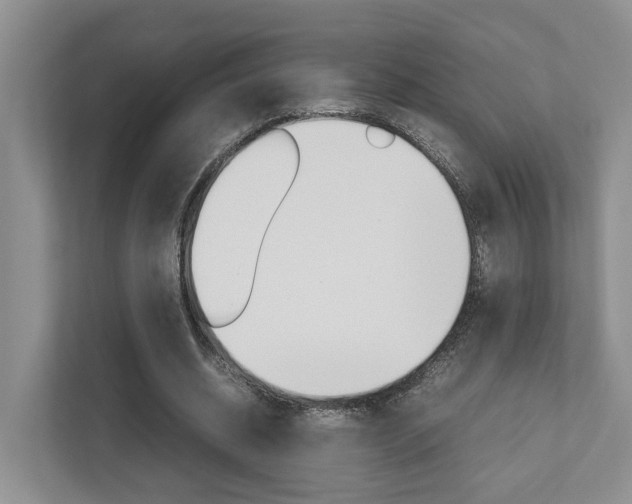 X0000112750534200908201015