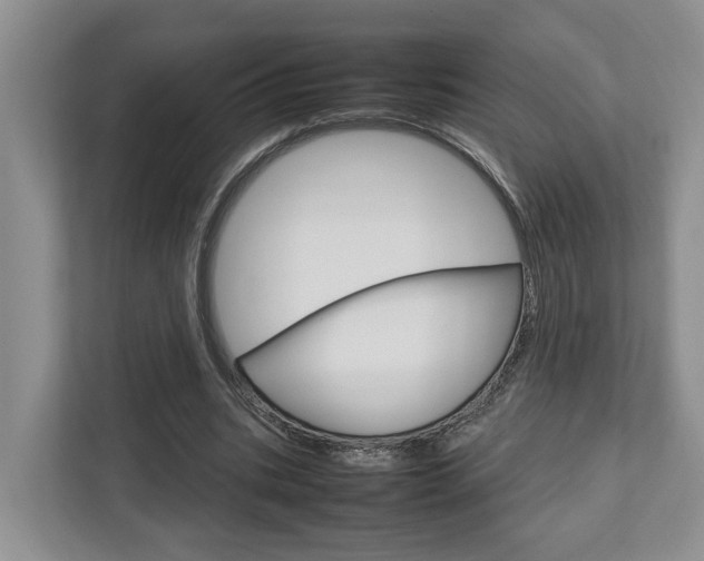 X0000112750535200908201015