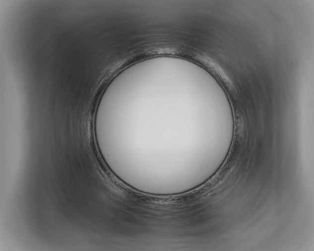 X0000112750537200908201015