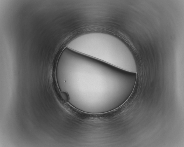 X0000112750538200908201015