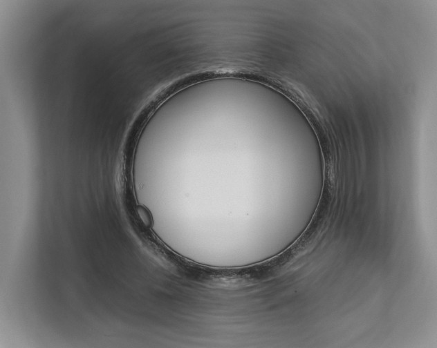 X0000112750540200908201015