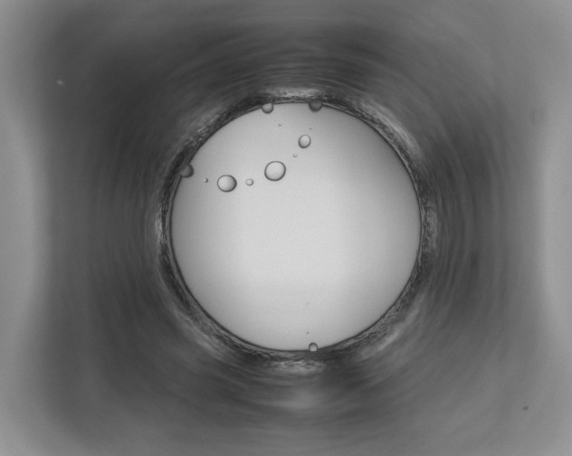 X0000112750541200908201015