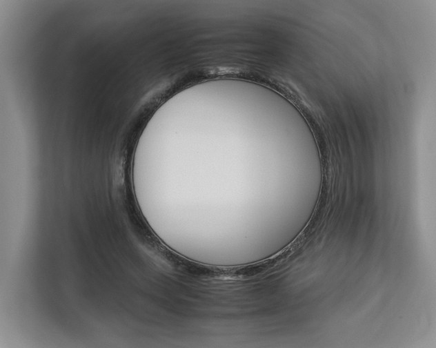 X0000112750543200908201015