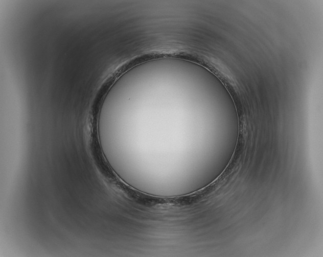 X0000112750544200908201015
