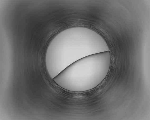 X0000112750547200908201015