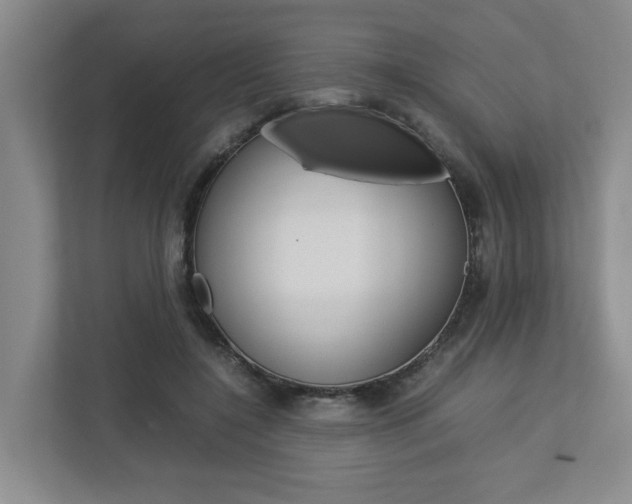 X0000112750548200908201015