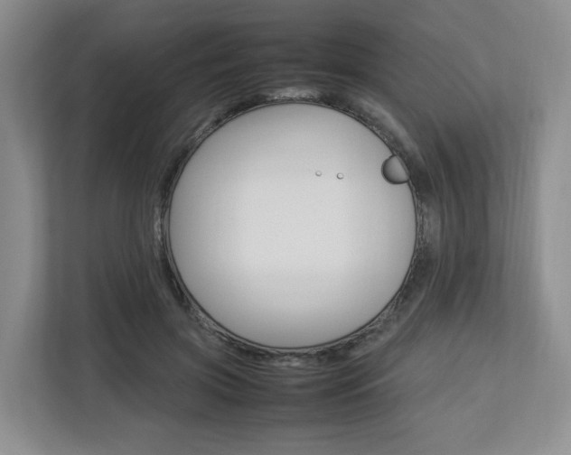 X0000112750549200908201015