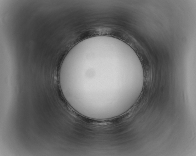 X0000112750553200908201015