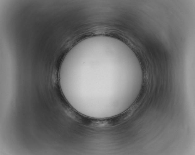 X0000112750554200908201015