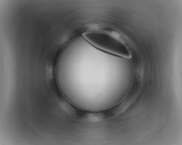 X0000112750556200908201015